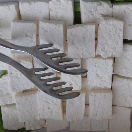 Garni Hotel Crystal Ice Ni المظهر الخارجي الصورة